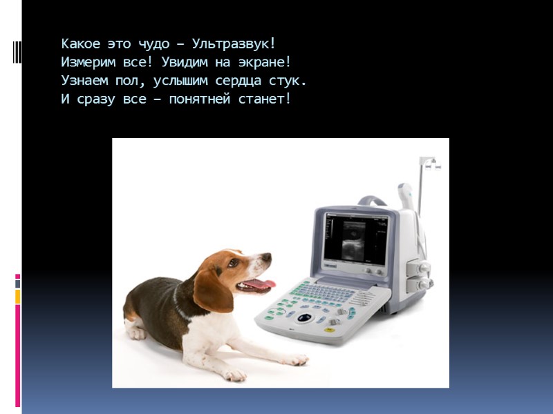 Какое это чудо – Ультразвук! Измерим все! Увидим на экране! Узнаем пол, услышим сердца
